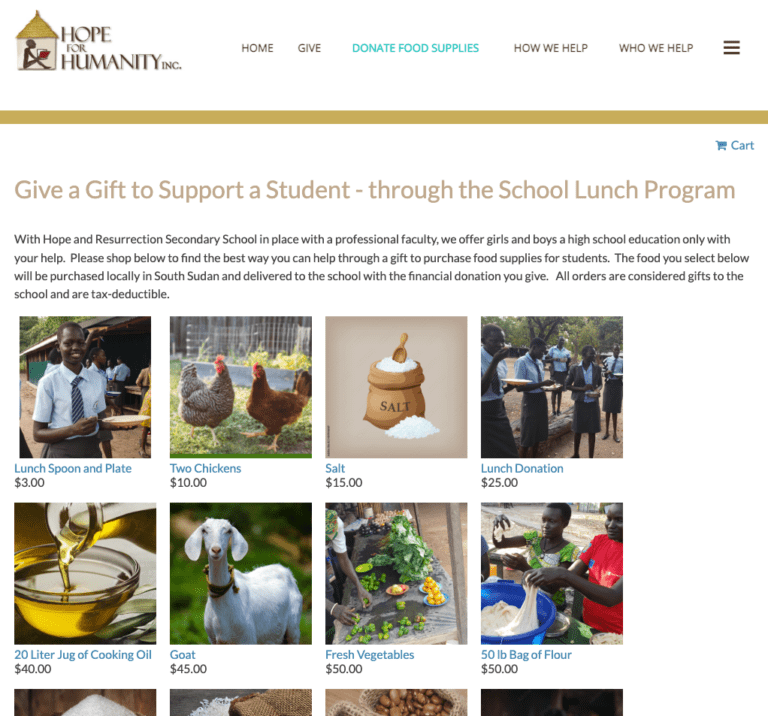 How to Create a Successful Donation Website: Examples, Software & Best ...
