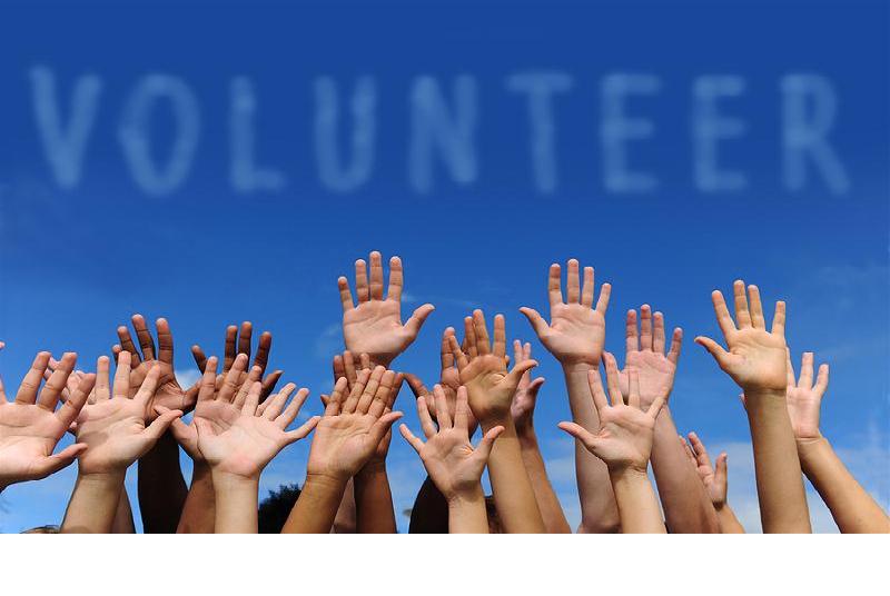 8 Steps to Organize Volunteers to Maximize Impact