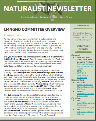 LMNGNO